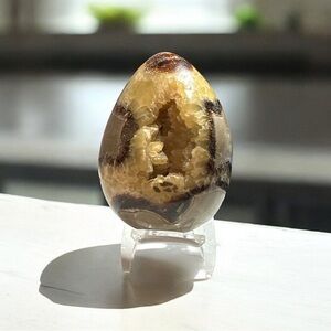 Beautiful Septarian Stone Egg